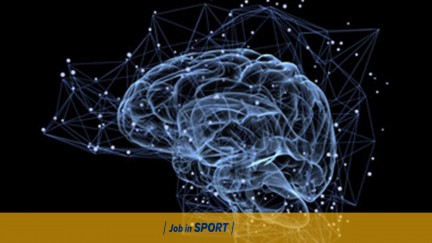 Brain differences in athletes playing contact vs. Noncontact sports