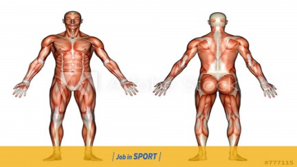 Metabolic Adaptations to Short-term High-Intensity Interval Training: A Little Pain for a Lot of Gain?